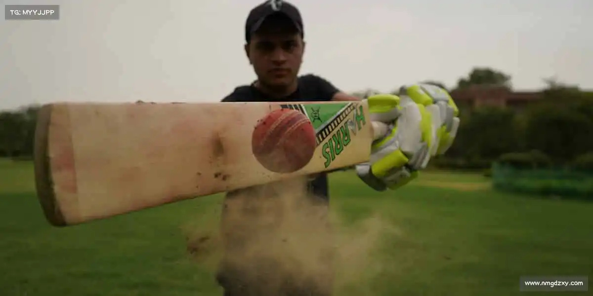 行业领先的理由